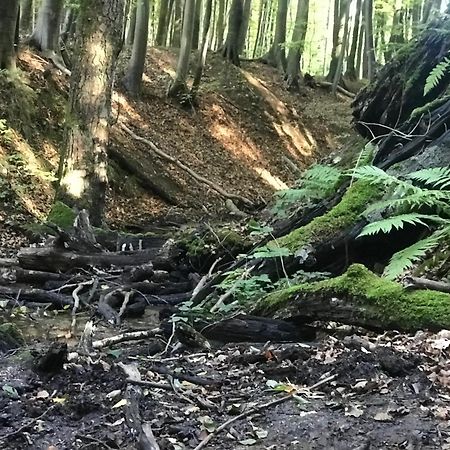 Homelig Altstadt Ferienwohnungen Sassnitz Fewo 4 Buitenkant foto